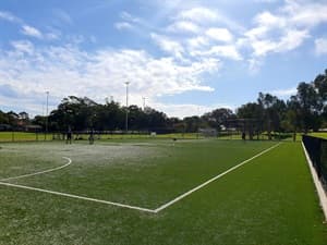 Henley Park Synthetic Field